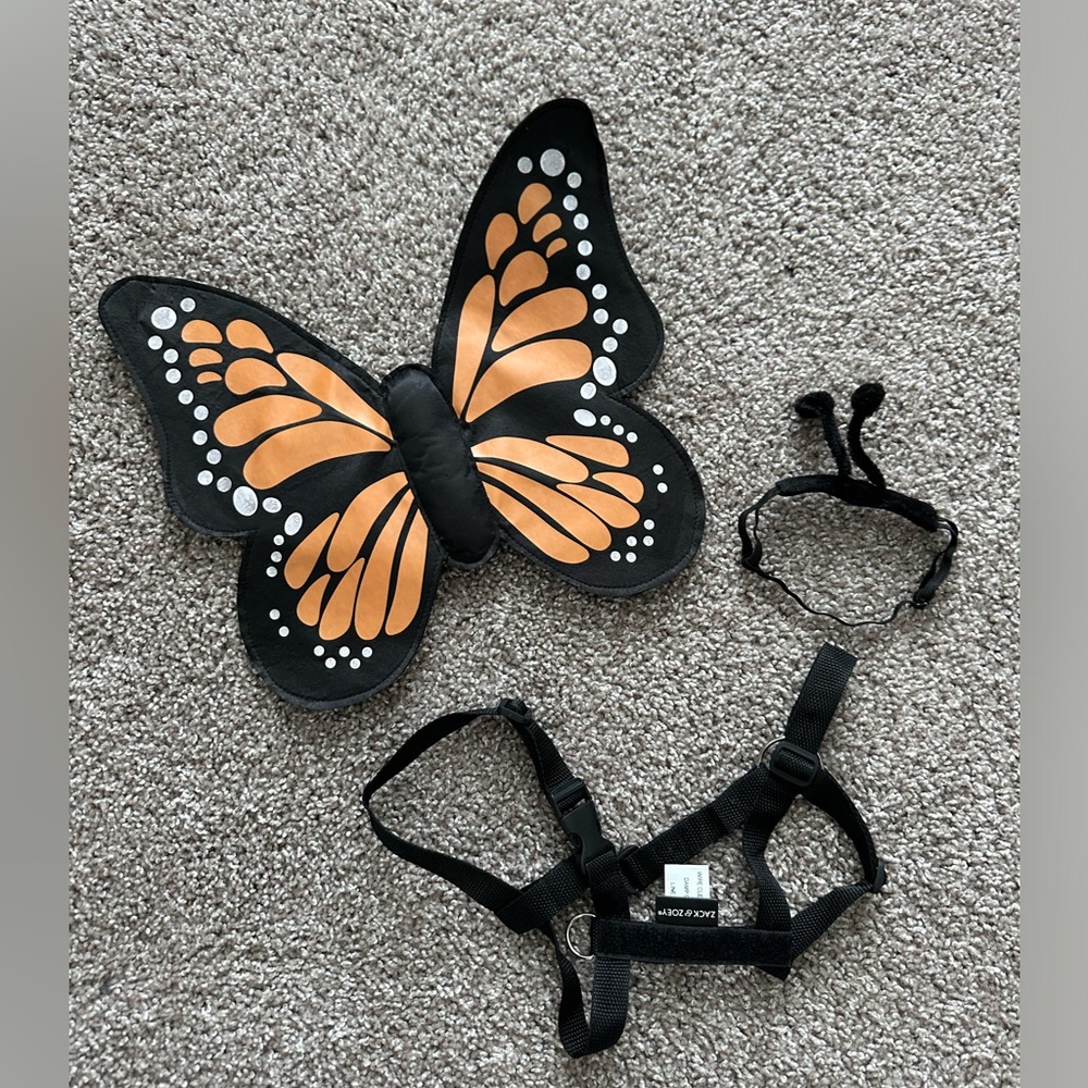 Pet Butterfly Costume